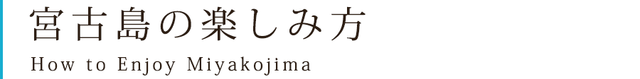 宮古島の楽しみ方