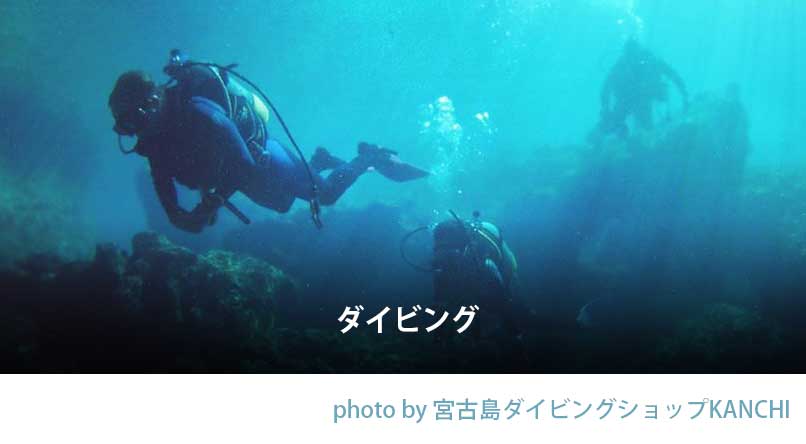 ダイビング