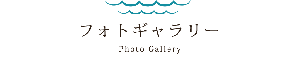 フォトギャラリー