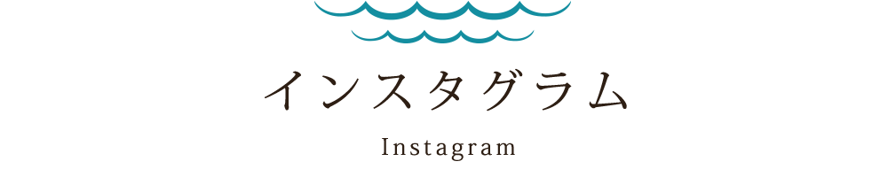 インスタグラム